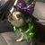 Lu Ann Tanner's profile image