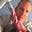 Anthony D'Alicandro's profile image
