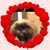 Mallory Lisnek's profile image