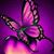 Devon Wiley's profile image