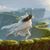 Lynell Cloudwalker's profile image
