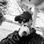 Jason D Steelman's profile image