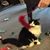 John Backus's profile image