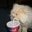 Claudia Filth's profile image