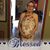 Shere Hussein's profile image