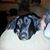 Steffanie Danke's profile image
