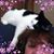 Bev Smith's profile image