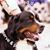 Lynn Robbs Nelson's profile image