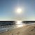 Mary Wells-Wheeler's profile image