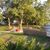 Rosa Gonzalez's profile image