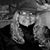 Jacqualyn Grace Rhein's profile image