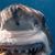 Mark Armentano's profile image