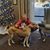 Judy Clar's profile image