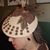 Joei Reed's profile image