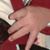 الأمل الموعود's profile image