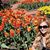 Bozena Olech Prusak's profile image