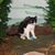 Jean Collins's profile image