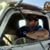 Michael Junkyard Gilmore's profile image