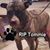 Angel N Terry Buckner's profile image