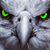 Michael Emery's profile image