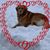 Candi Dirst's profile image
