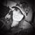 Jessica Howard's profile image