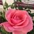 Margaret Wright Fuhr's profile image