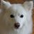 Elizabeth Josephine's profile image