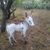 Yvonne Loynes's profile image