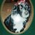 Barb Stenger Merk's profile image