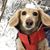 Sarah Berry's profile image