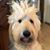 Sue Hilton Gysin's profile image