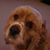 Sandy Teachey's profile image
