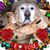 Jenni Schultz Coleman's profile image