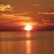 Nancy Greichen Selby's profile image