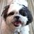 Nancy Schuyler's profile image
