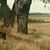 Linda Redshaw Schneider's profile image