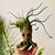 Melanie Vincelette's profile image