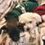 Kimberly Browning's profile image