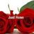 Lynn Brown's profile image