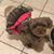 Laura Garber's profile image