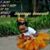 Janice Charlene Wright's profile image