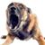 John Parker's profile image