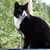 Heather Marquette's profile image