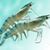 Viet Linh's profile image