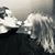 Ann Mazza's profile image