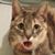 Jay Russell's profile image
