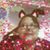 Andrea Gonzalez's profile image