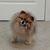 Chris Leavitt Cassy's profile image