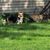 Lori Fleener Baker's profile image